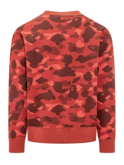 Felpa con Stampa Grafica e Motivo Camouflage