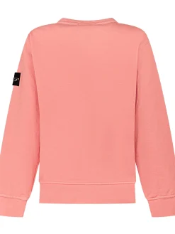 Long-Sleeve Crew-Neck Sweatshirt