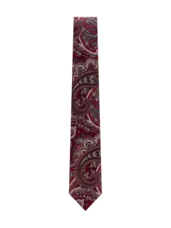 Paisley Pattern Tie