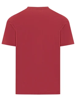 Short Sleeve V-Neck T-Shirt